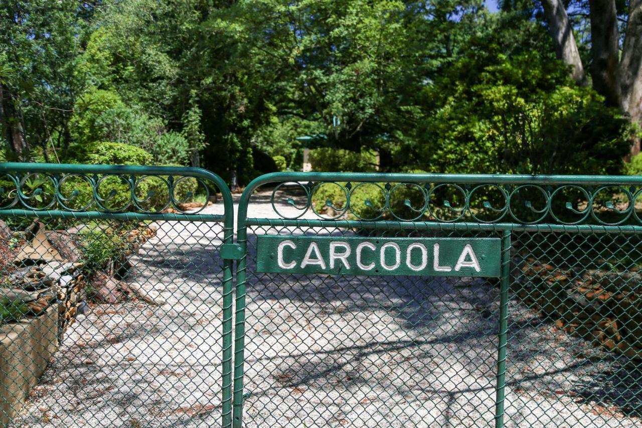 Villa Carcoola Blackheath Exterior foto
